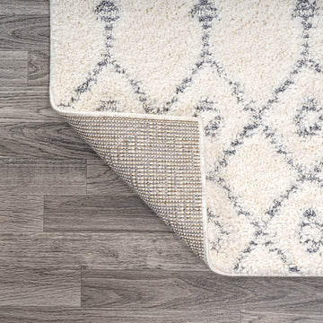 Pia Moroccan Trellis Plush Carved Area Rug